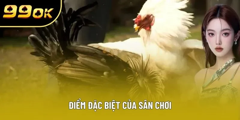 Điểm đặc biệt của sân chơi