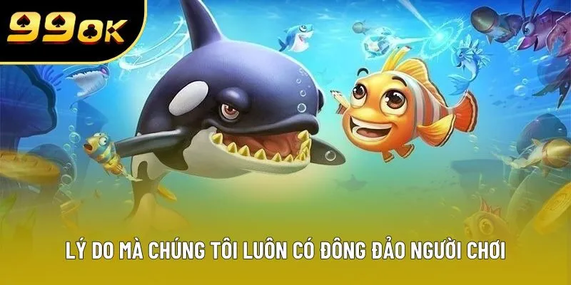 Lý do mà chúng tôi luôn có đông đảo người chơi Lý do mà chúng tôi luôn có đông đảo người chơi