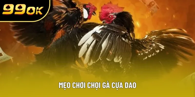 Mẹo chơi chọi gà cựa dao