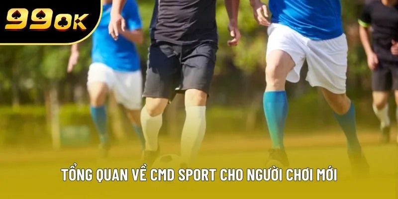Tổng quan về CMD SPORT cho người chơi mới