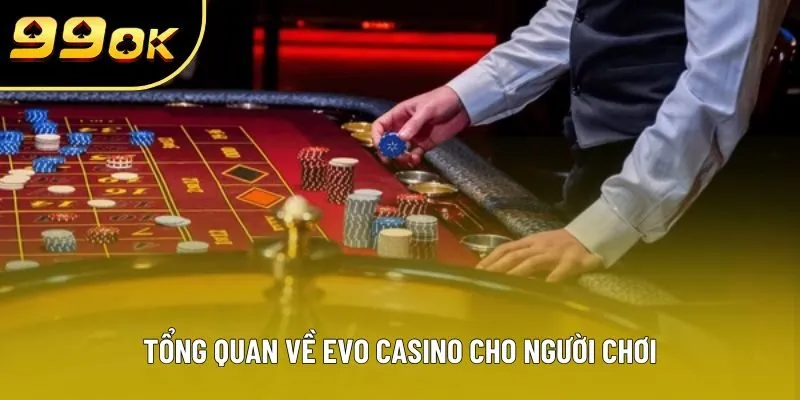 Tổng quan về EVO CASINO cho người chơi Tổng quan về EVO CASINO cho người chơi