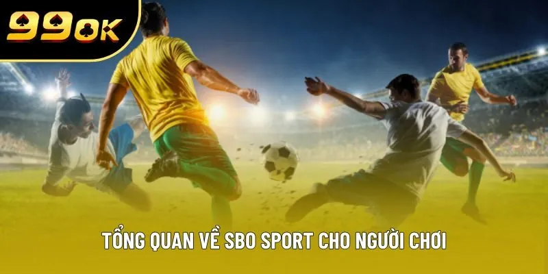Tổng quan về SBO SPORT cho người chơi Tổng quan về SBO SPORT cho người chơi